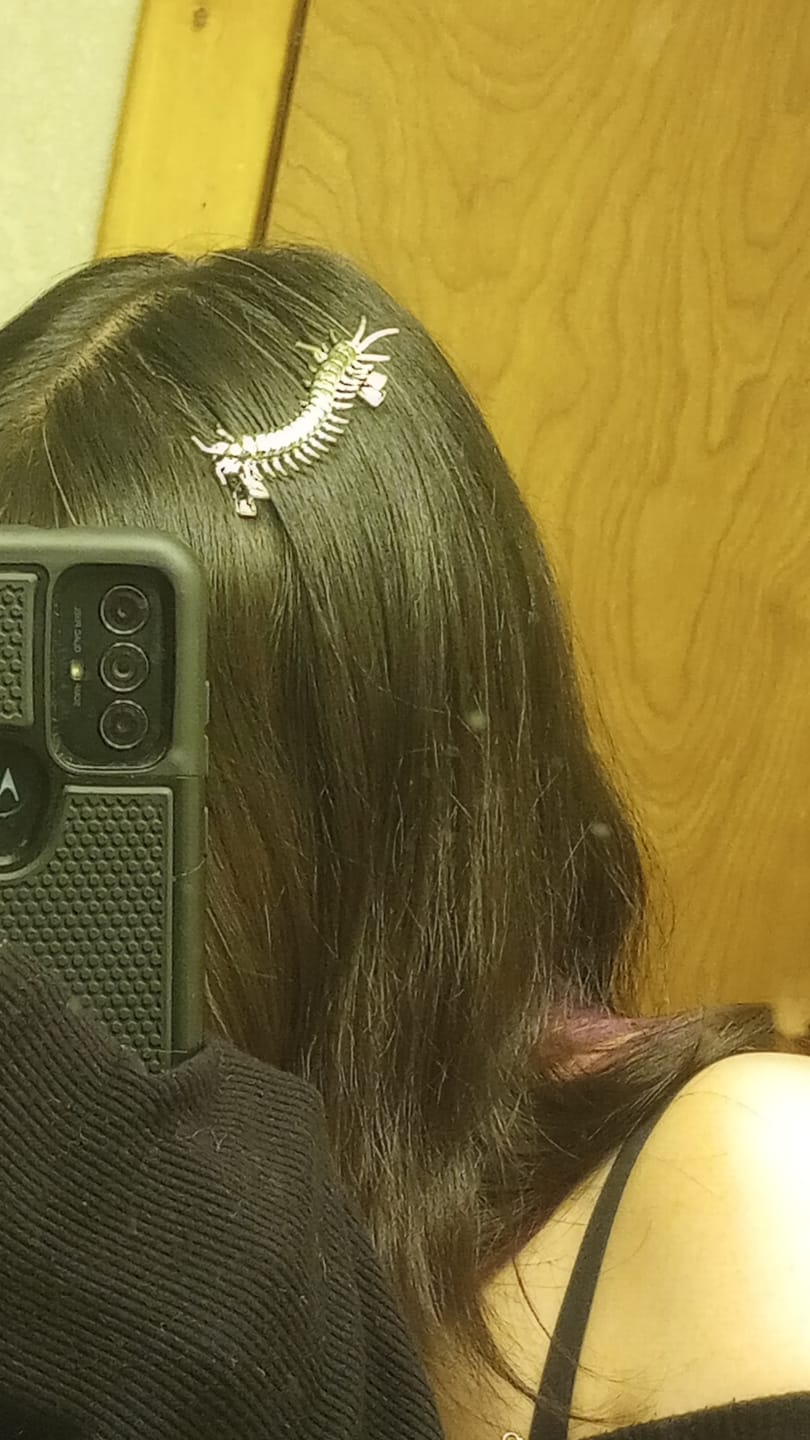 Customer photo review of CENTIPEDE HAIRCLIP