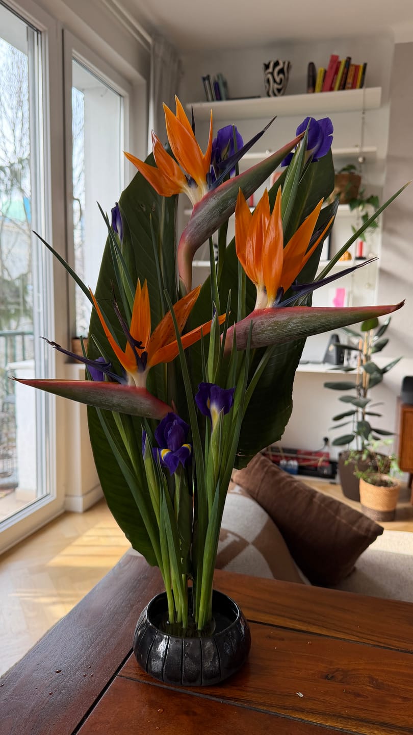 Customer photo review of Kenzan 70 mm Flower Frog
