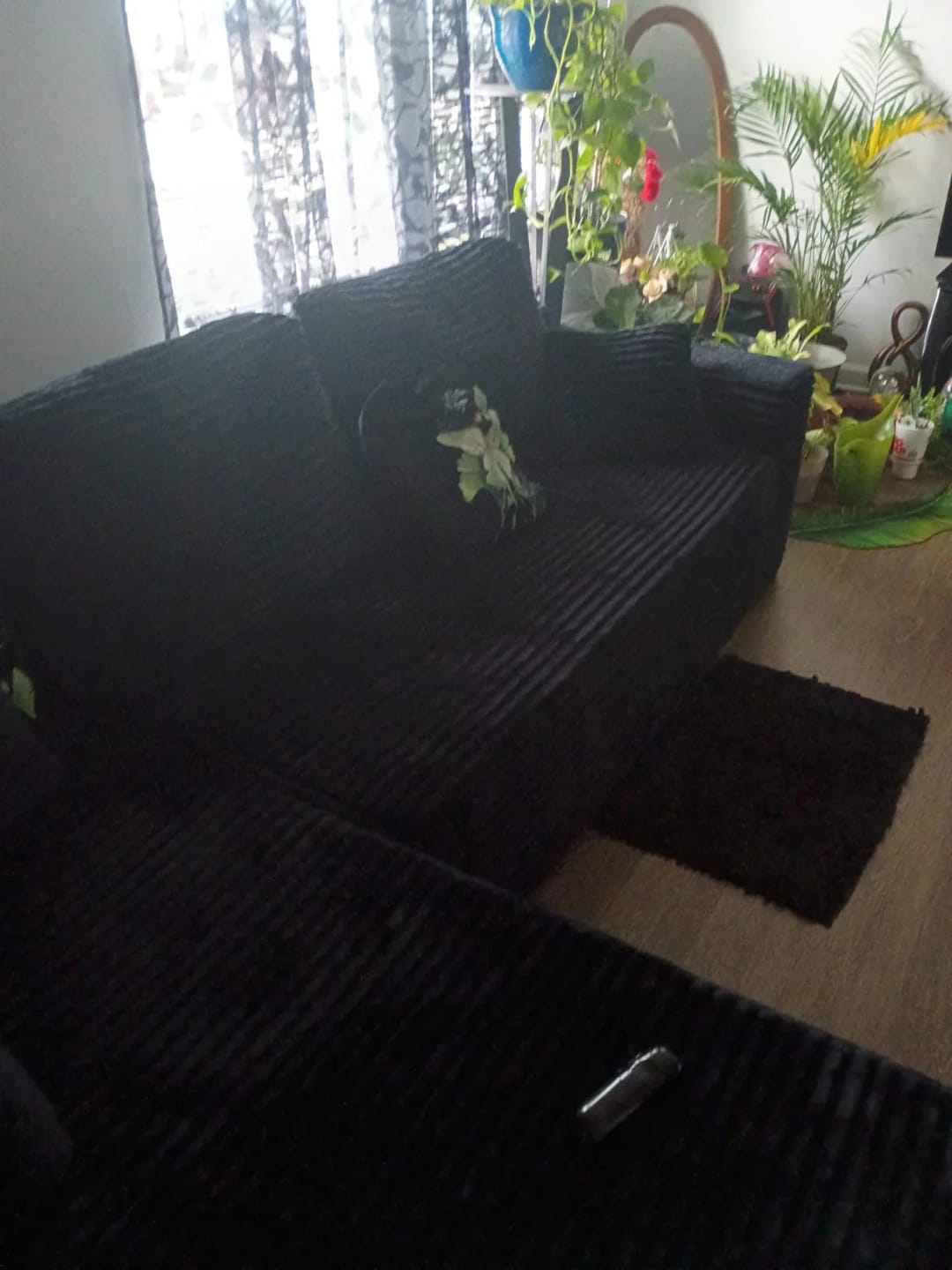 Customer photo review of Viral Boneless Couch