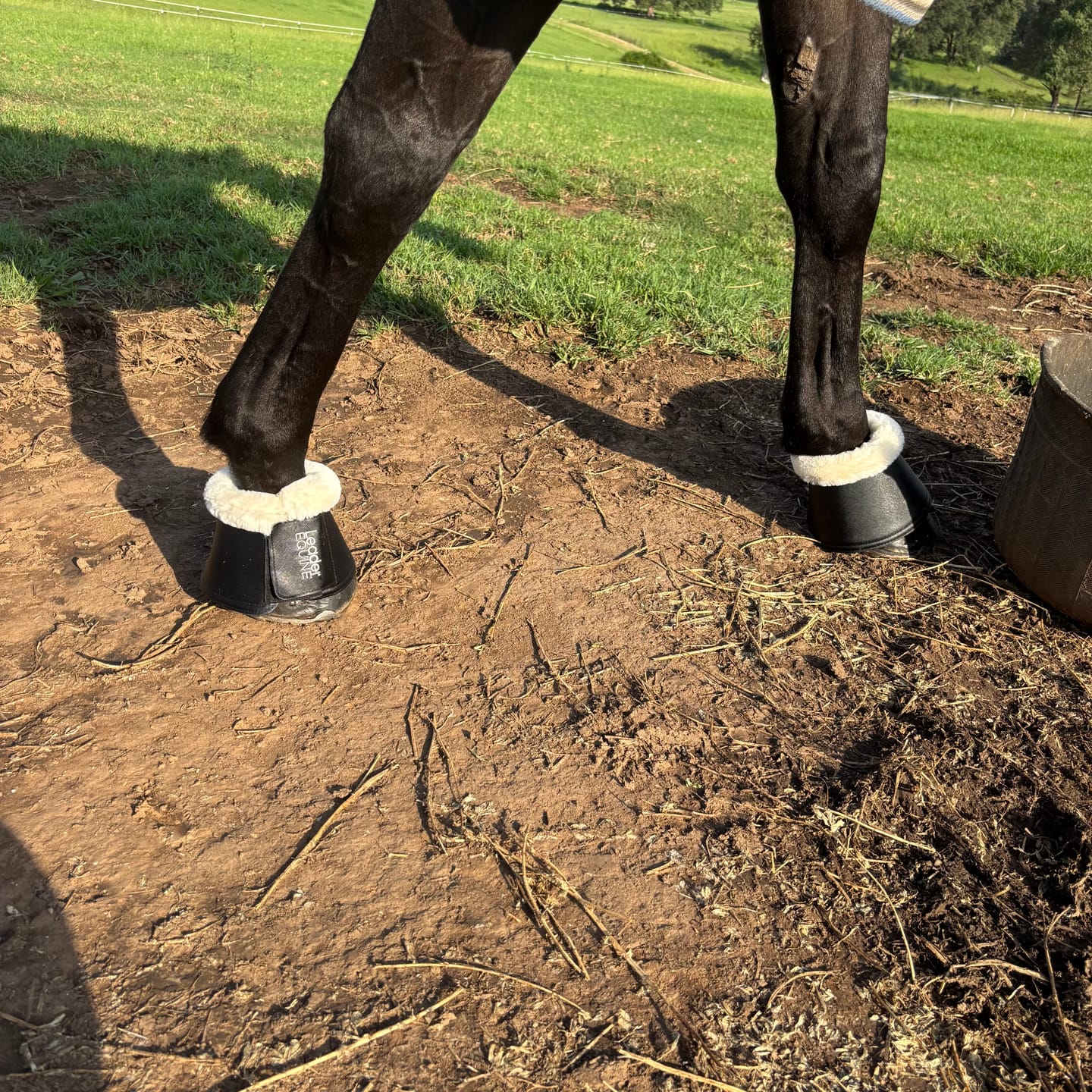 Customer photo review of LE Bell Boots