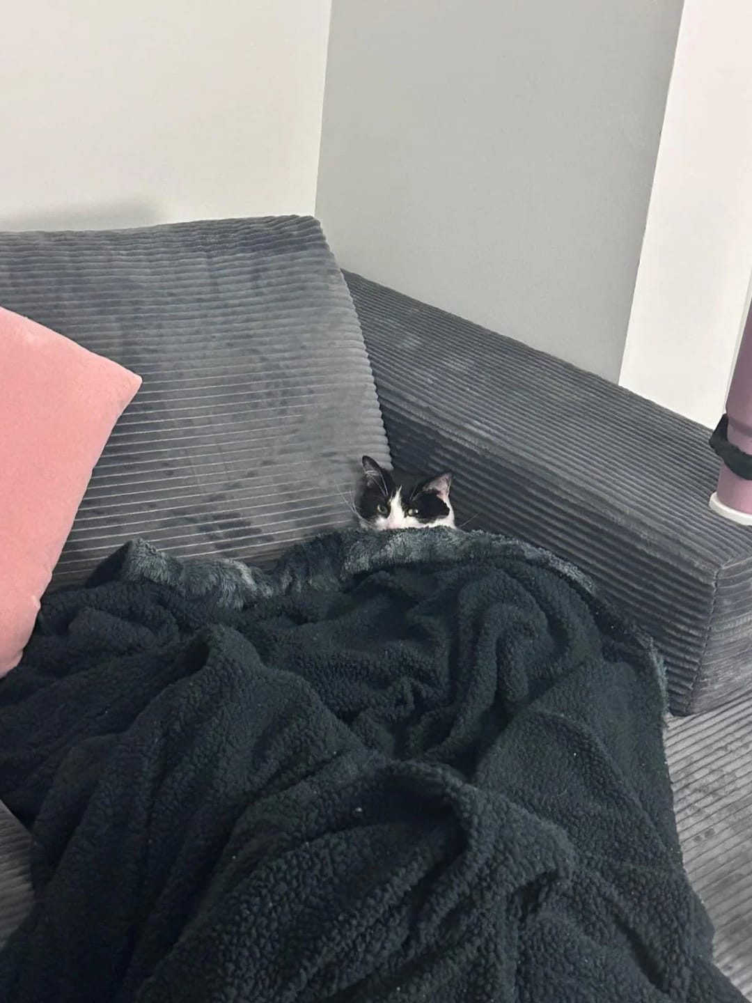 Customer photo review of Viral Boneless Couch