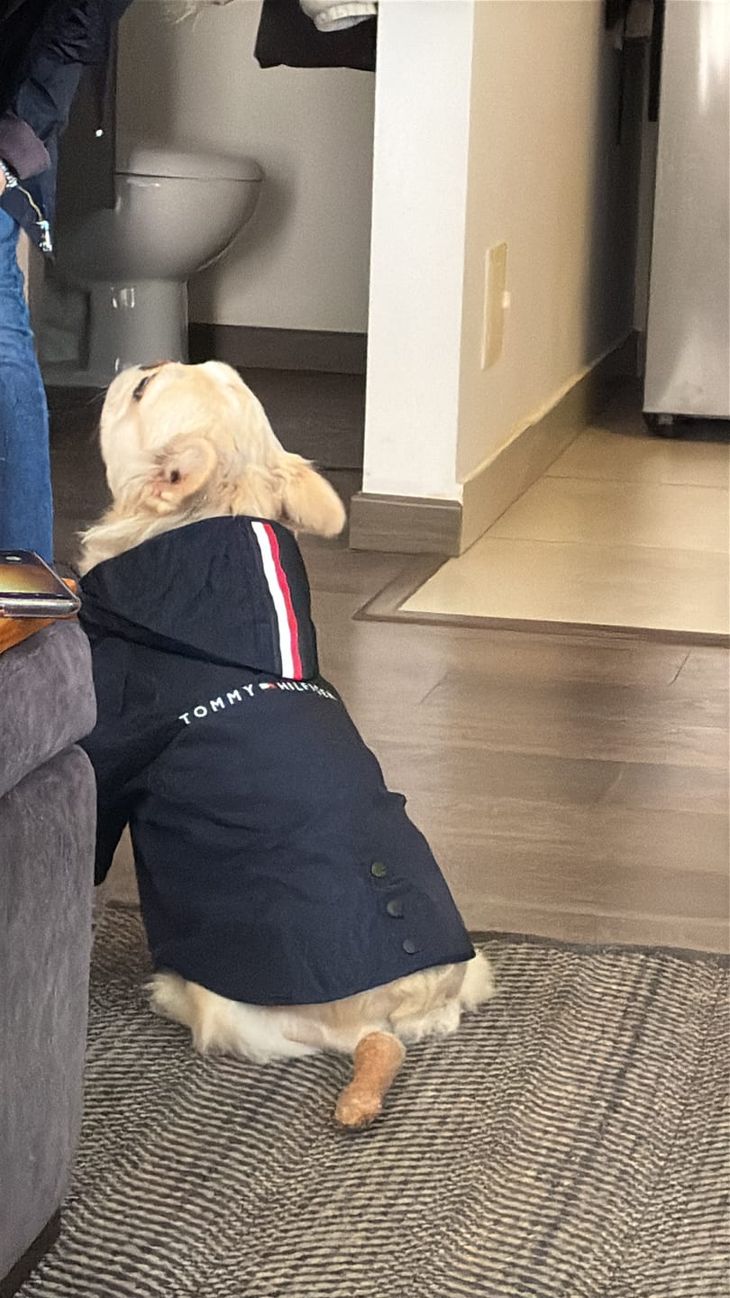 Customer photo review of Tommy Hilfiger Rain Coat