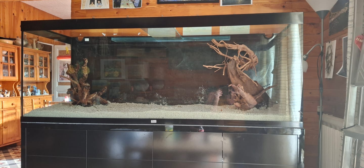 Customer photo review of Sublime Ultra 200 x 70 AQUATLANTIS Noir Laqué - Aquarium Equipé 853 L