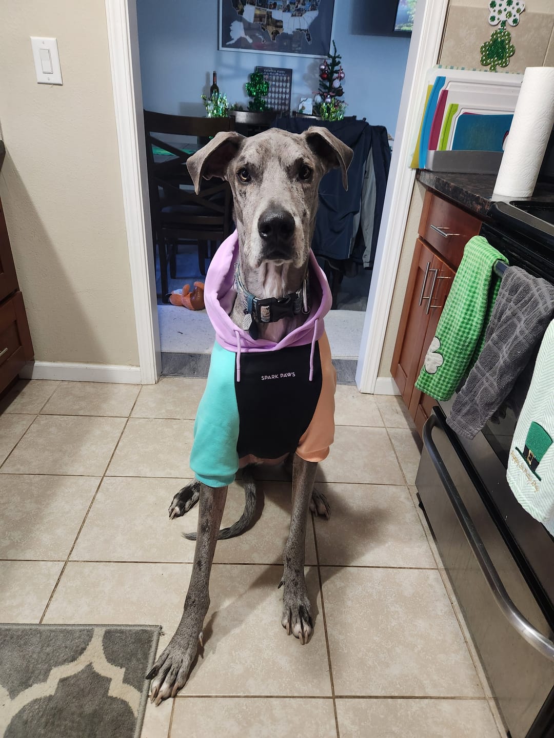 Customer photo review of Cyber Punk Dog Hoodie
