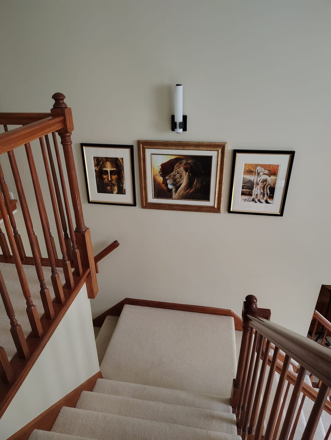 Customer photo review of The Shroud of Turin - Resurrection Light