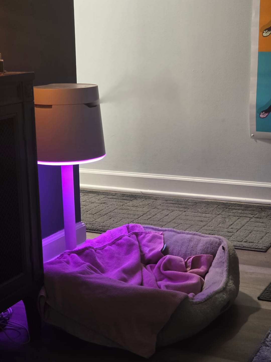 Customer photo review of Carepod One Plus with Stand - Stainless Steel Humidifier with Mood Light