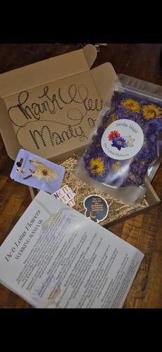 Customer photo review of PRE ORDER Blue Lotus Flower (Nymphaea caerulea)
