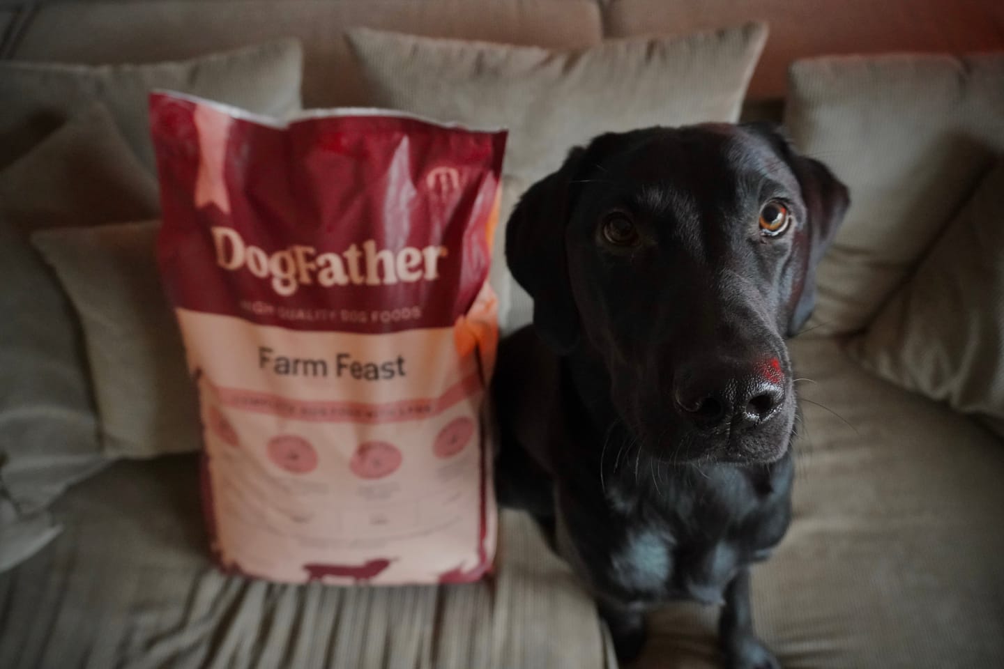 Customer photo review of Hundfoder Lamm & Ris, 11kg