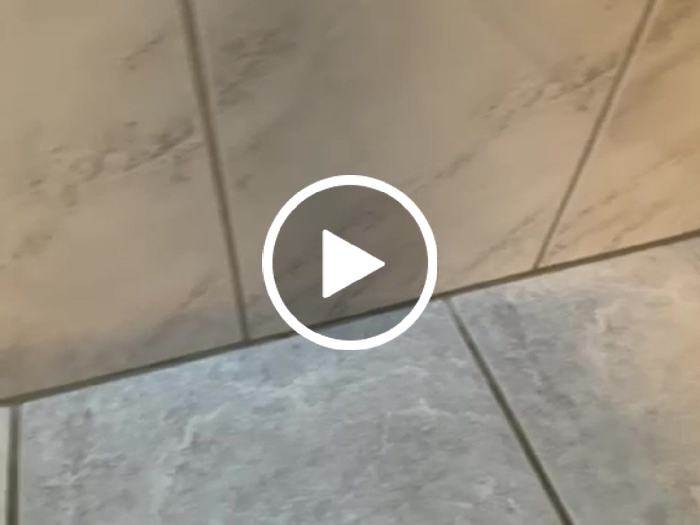 Customer video review of Ungeziefer Köder-Gel - 20 g
