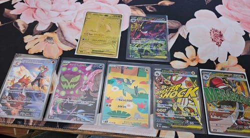 Customer photo review of Shipping Insurance