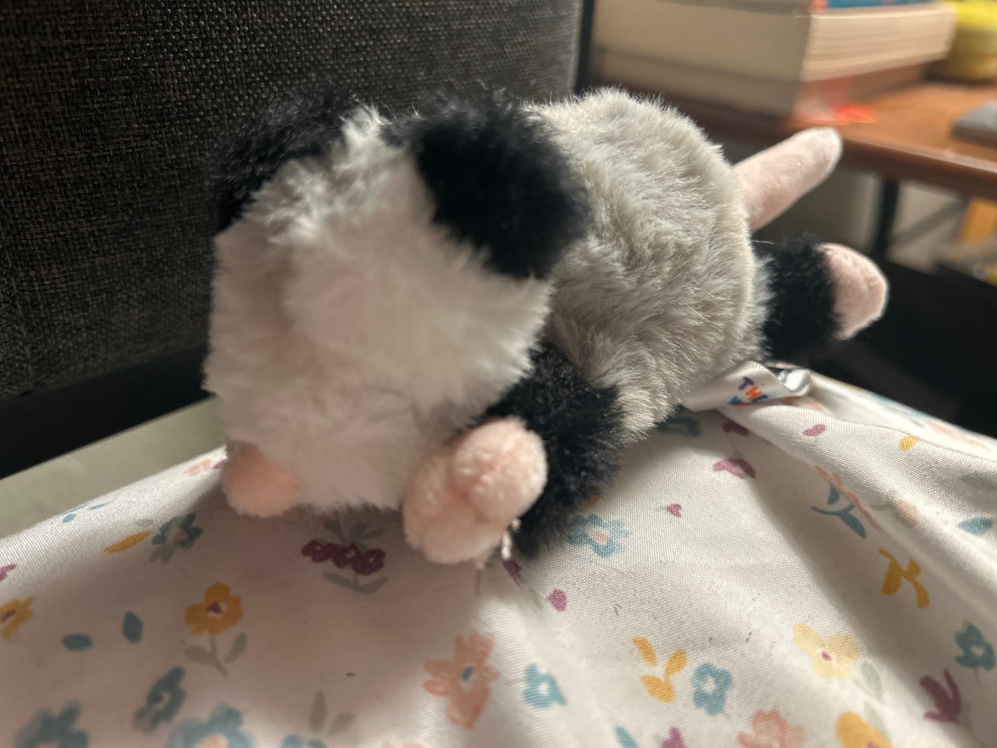 Customer photo review of Peter The Opossum