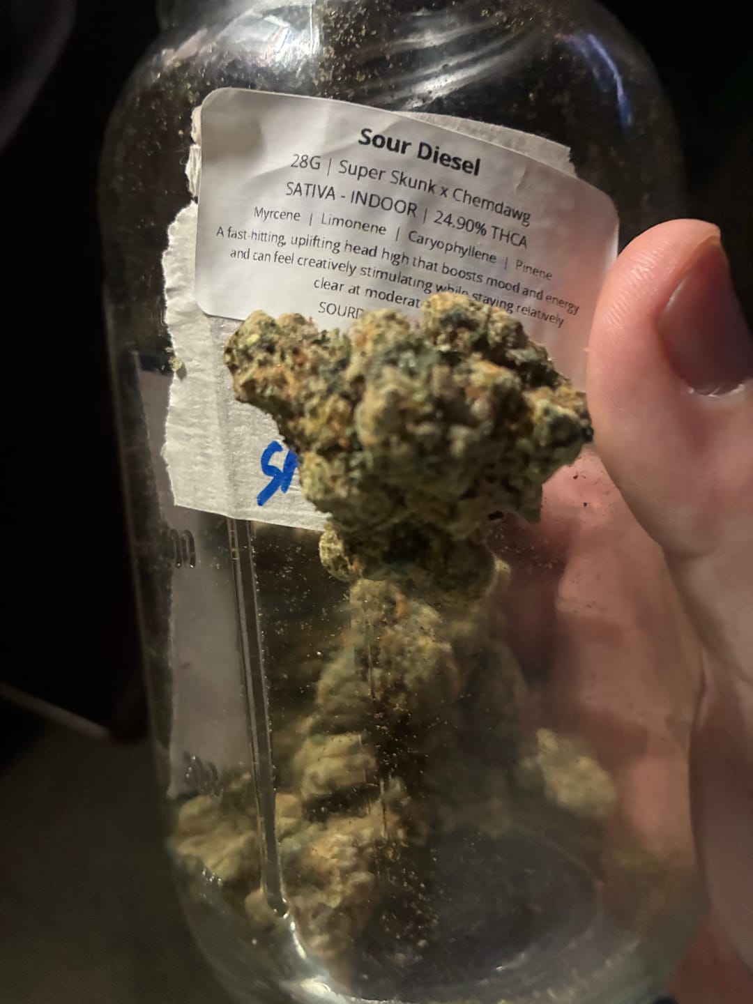 Customer photo review of Sour Diesel