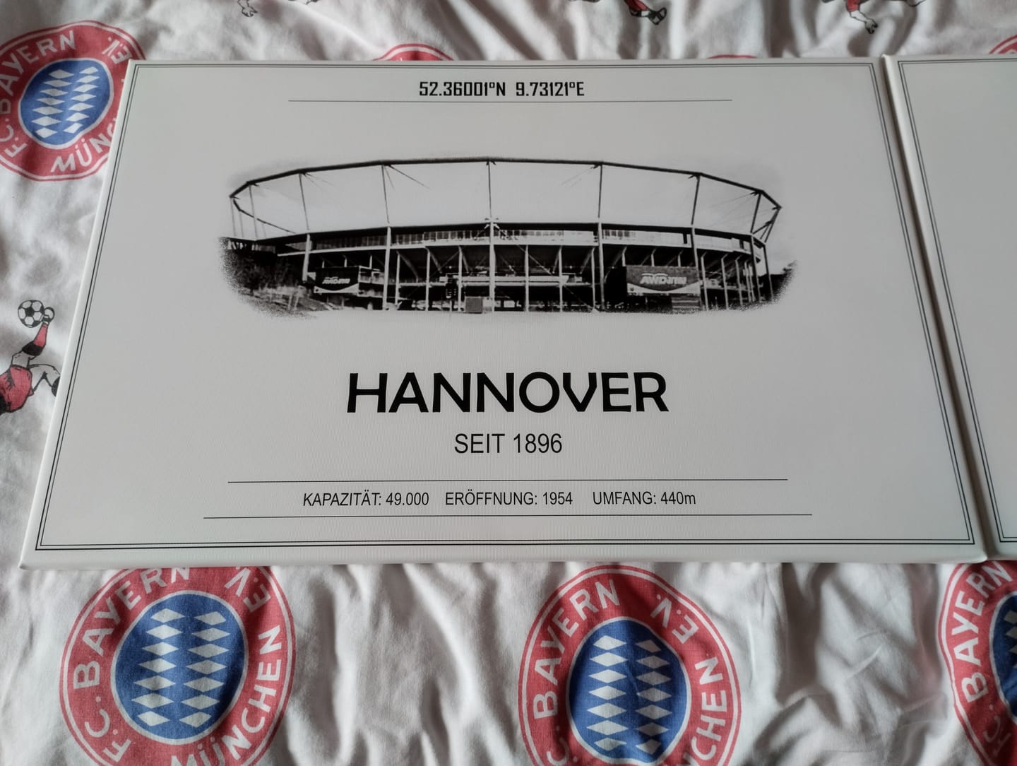 Customer photo review of Hannover Stadion Leinwand