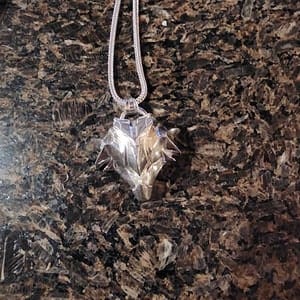 Customer photo review of Griffin Pendant