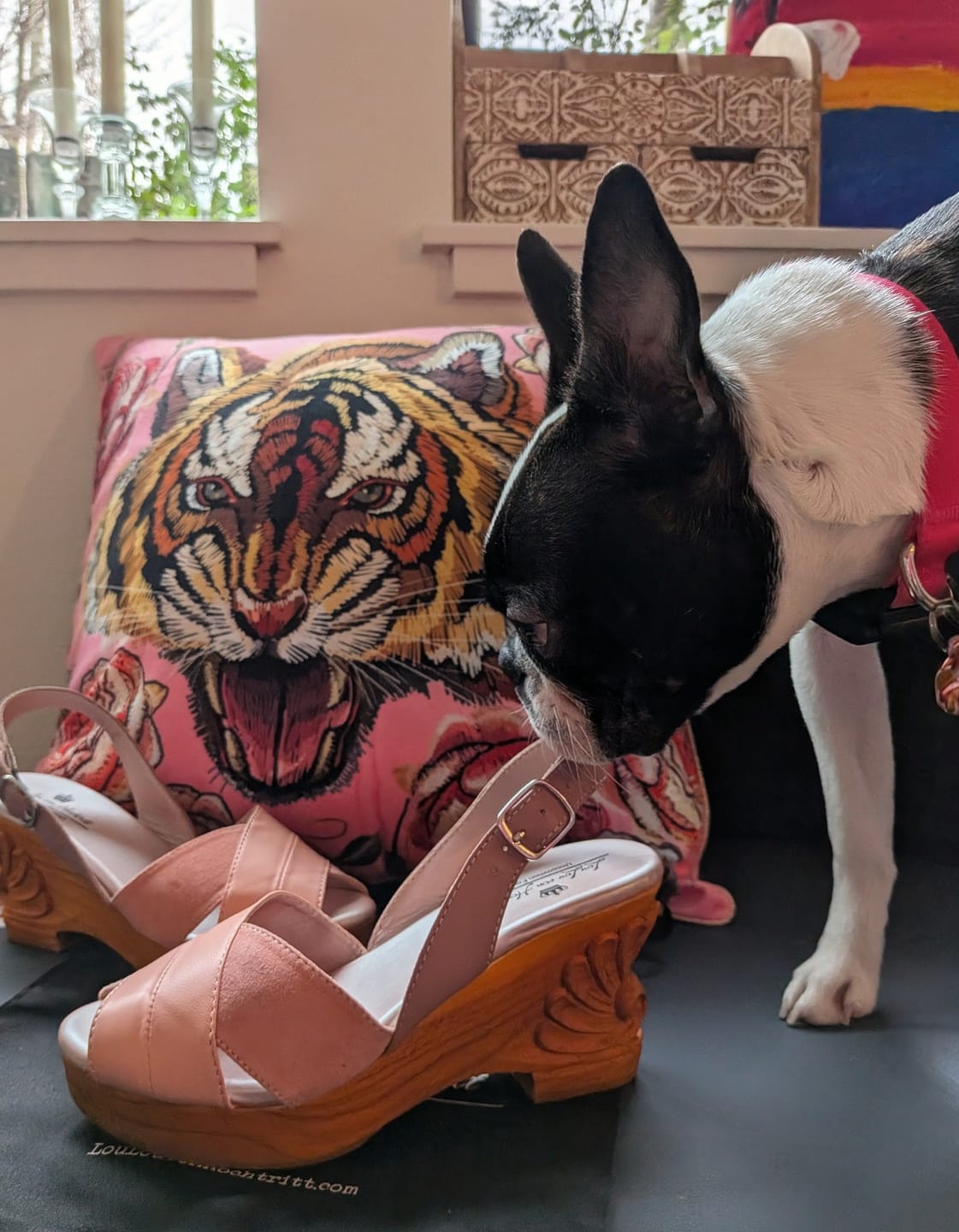 Customer photo review of on Sale - the Venus Wedge in Rose Gold