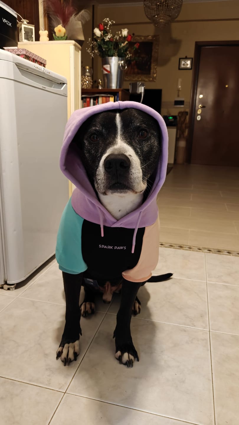 Customer photo review of Cyber Punk Dog Hoodie