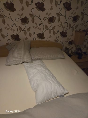 Customer photo review of SIDE+ Kissen