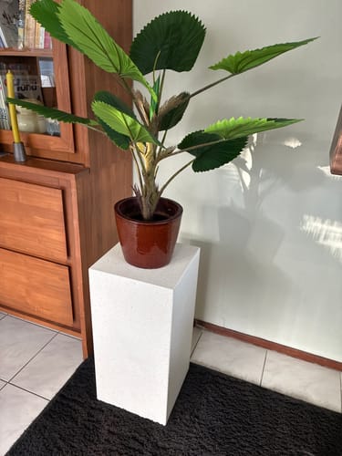 Customer photo review of Kunst Waaierpalm 90cm