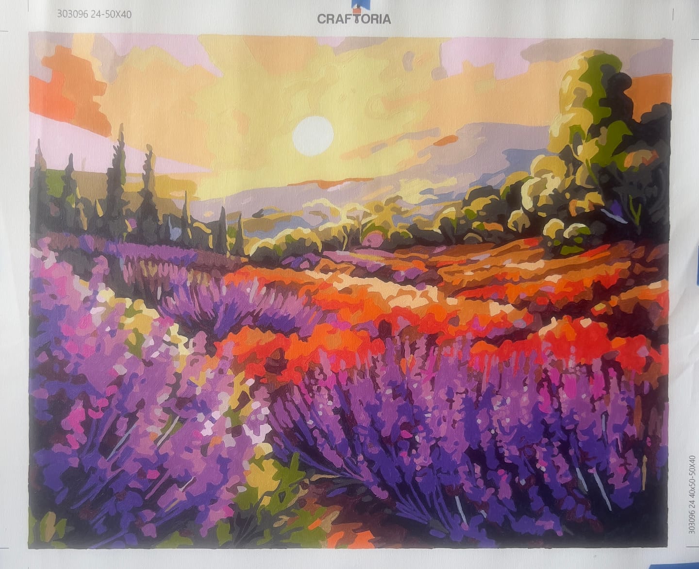 Customer photo review of Lavender Meadow Sunset