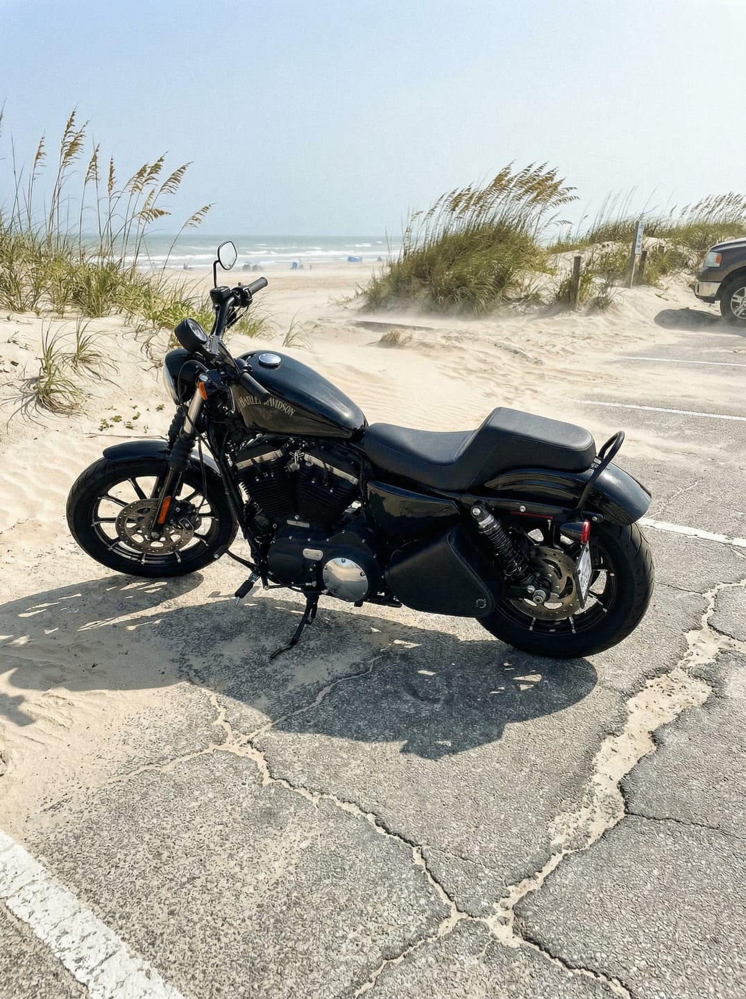 Customer photo review of 3L - Sprinter Harley Sportster Motorcycle Swing Arm Bag