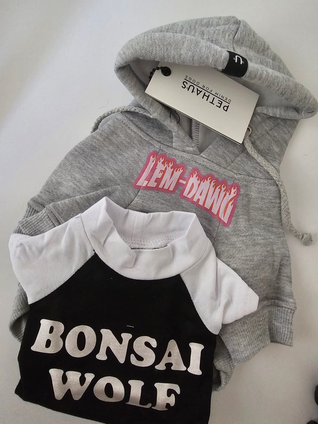 Customer photo review of Personalised Thrasher Font Dog Hoodie 🔥