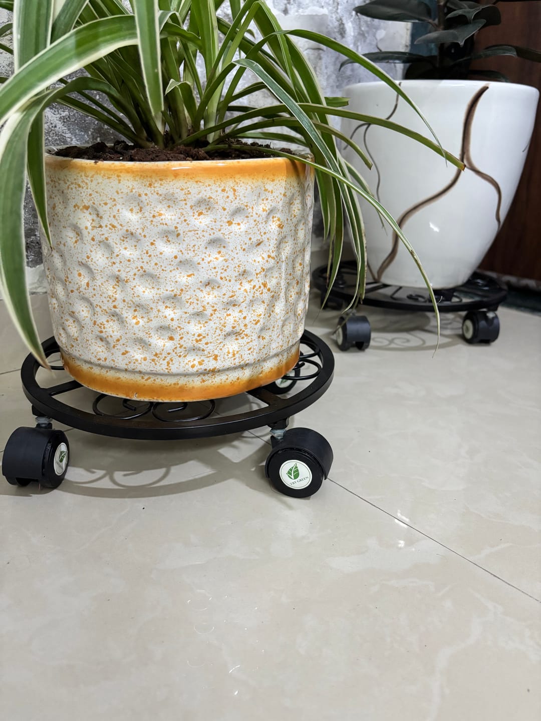 Customer photo review of TryGreen Luna Wheel Rolling Plant Stand for Planters