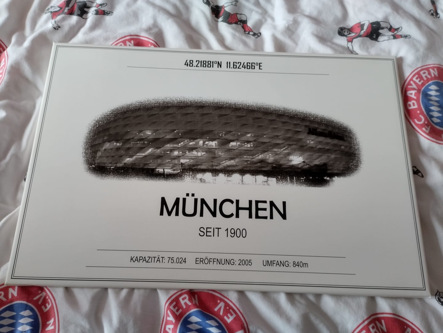 Customer photo review of München Stadion Leinwand
