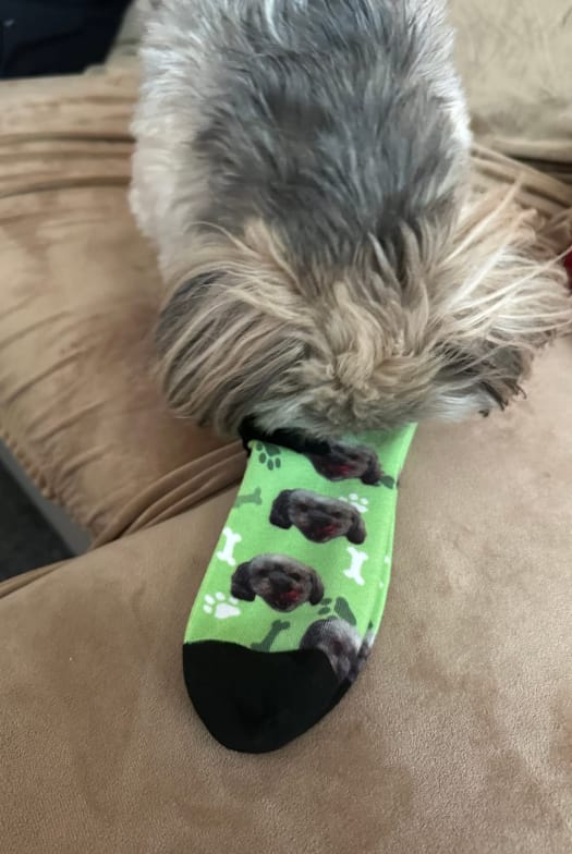 Customer photo review of Personalisierte Socken - Dein Foto