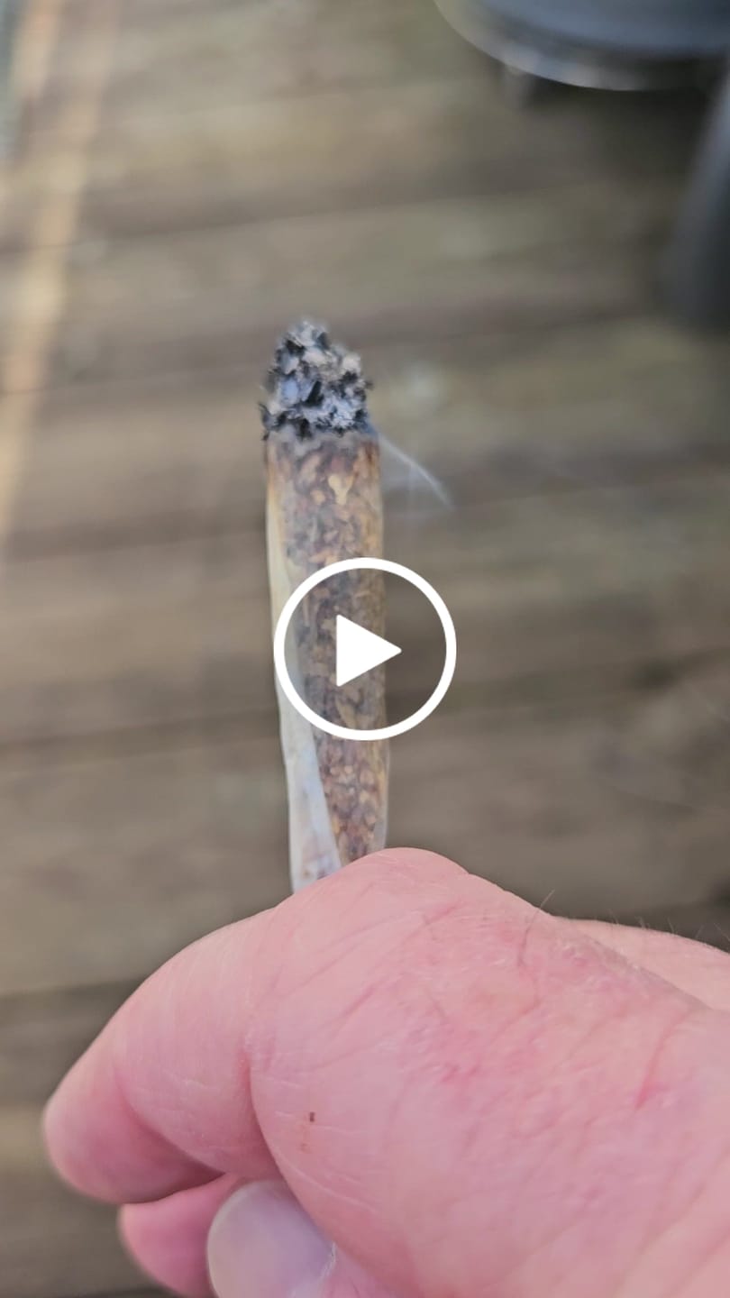 Customer video review of 🎂 Wedding Cake - Power LVL 5/5