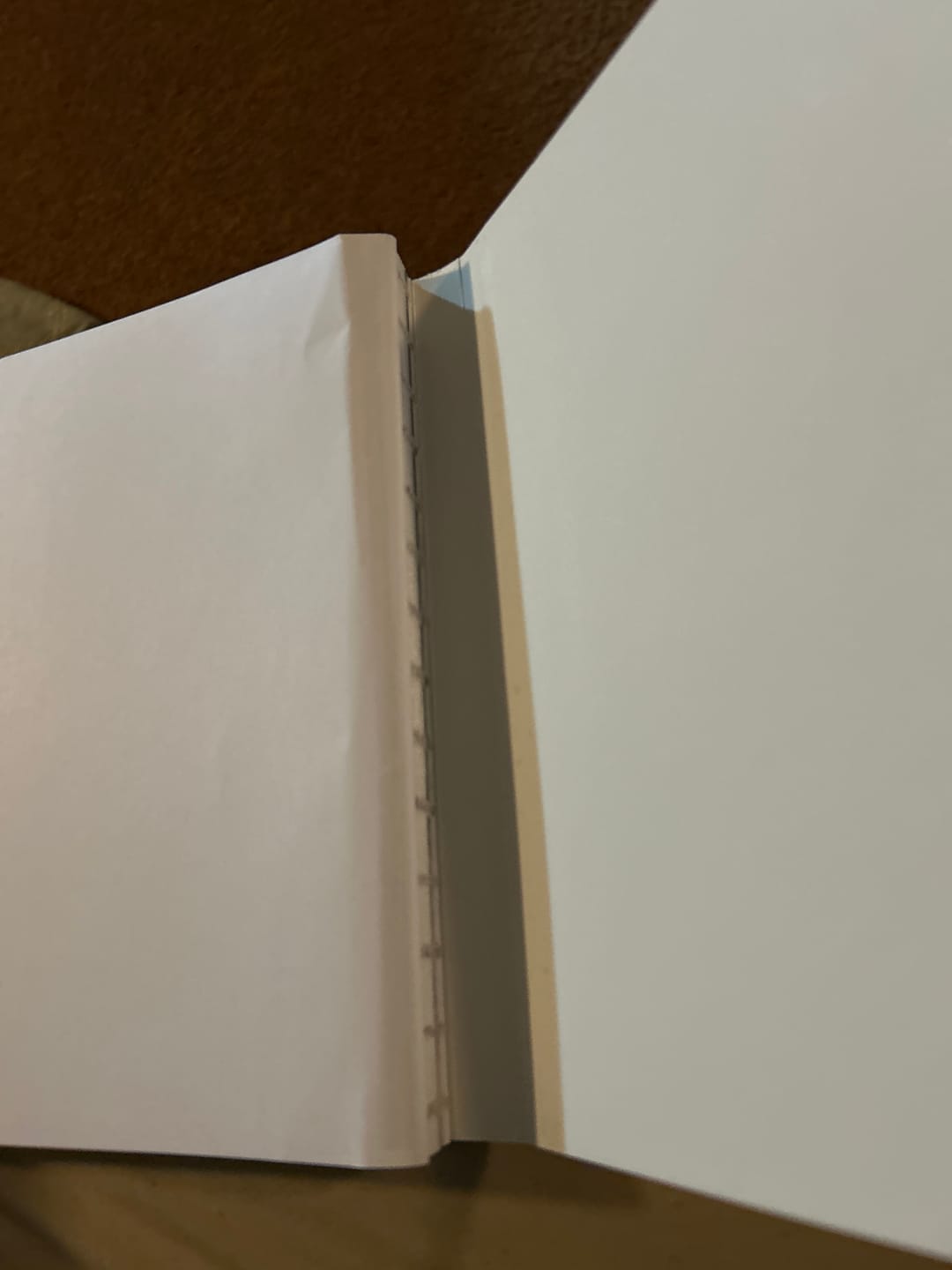 Customer photo review of Who Do You Say That I Am: A Catholic Lent Devotional by Debra Herbeck