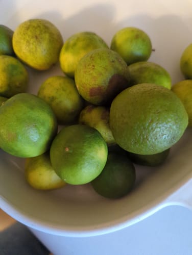 Customer photo review of Organic Key Limes 3 lbs