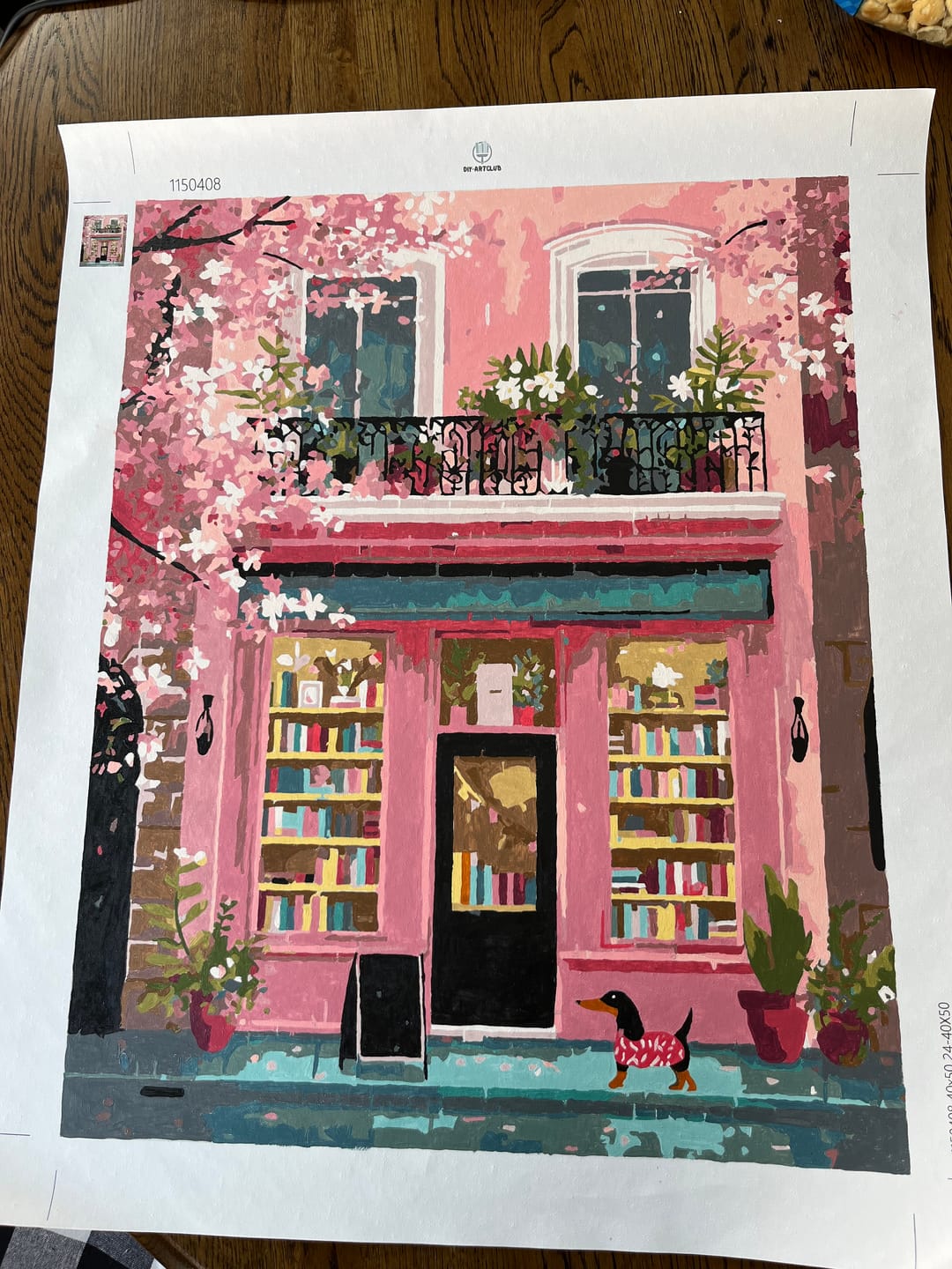 Customer photo review of Boutique in pink | Paint by Number