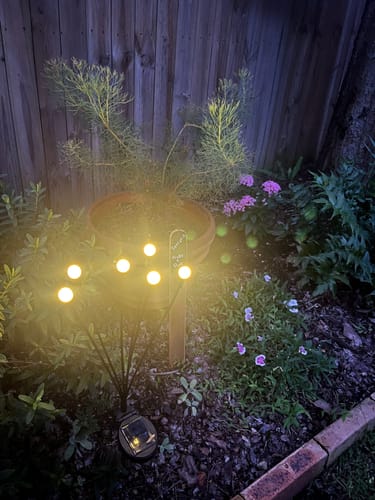 Customer photo review of GardenBrite™ Solar Firefly Lights