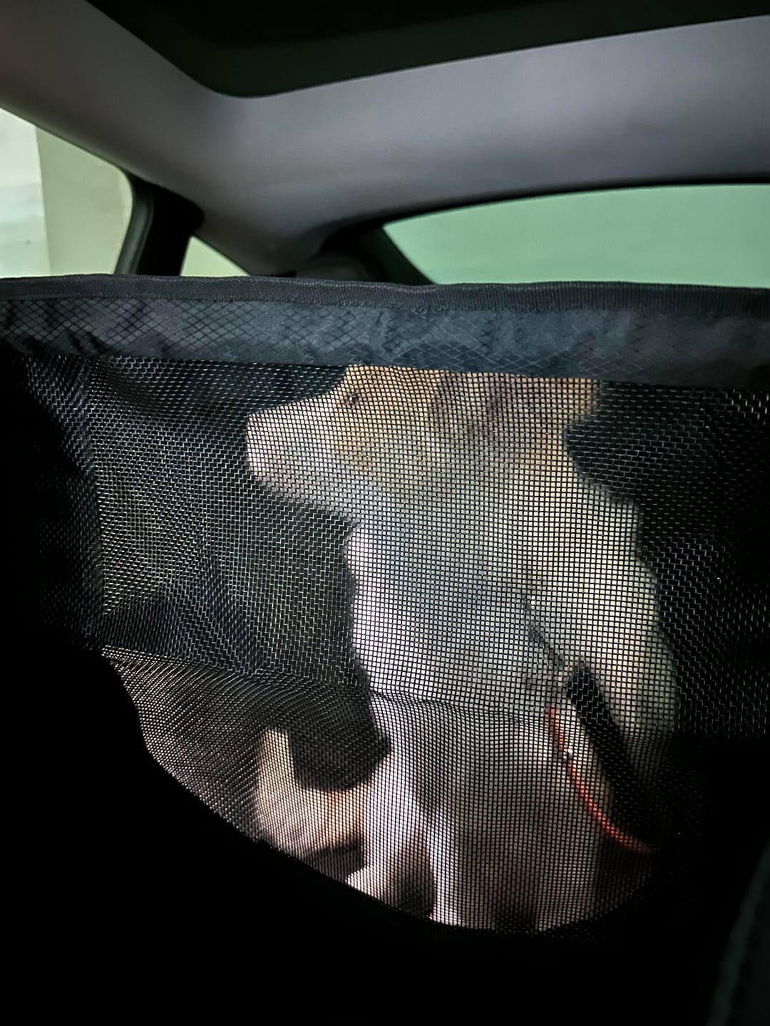 Customer photo review of Dogo Waterproof Car Pet Seat Cover Custom Hand Stitched
