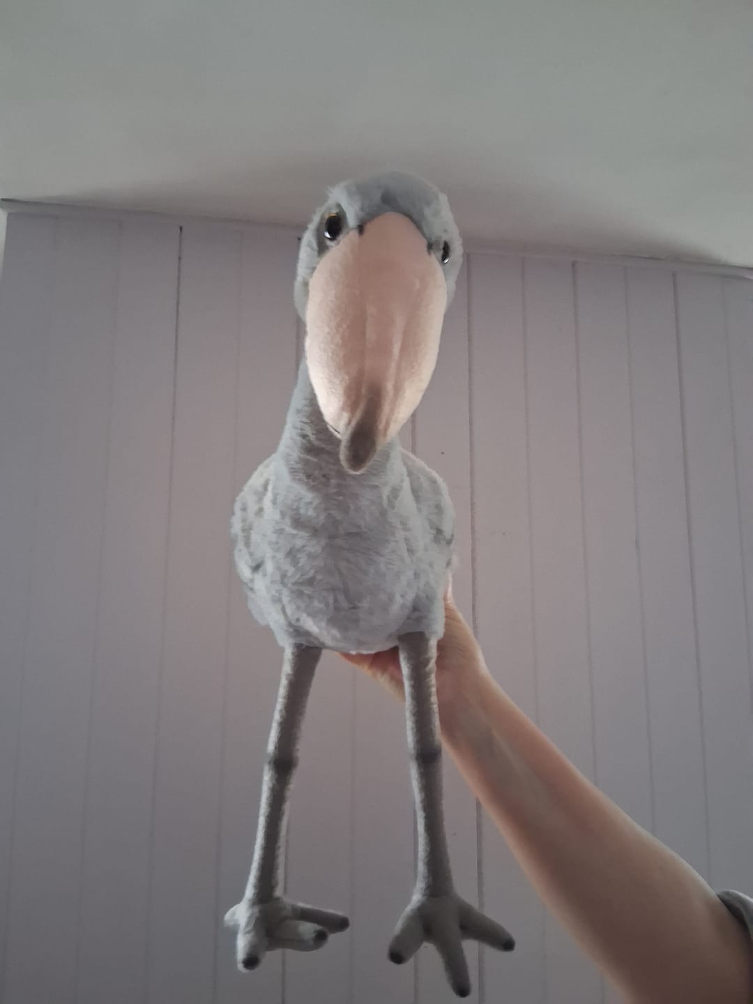 Customer photo review of Shoebill Stork Bird Soft Stuffed Plush Toy