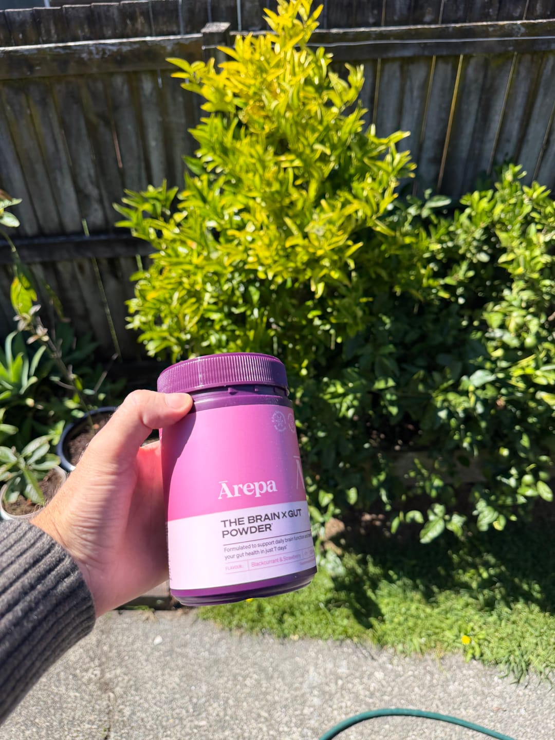Customer photo review of The Brain x Gut Powder⁺