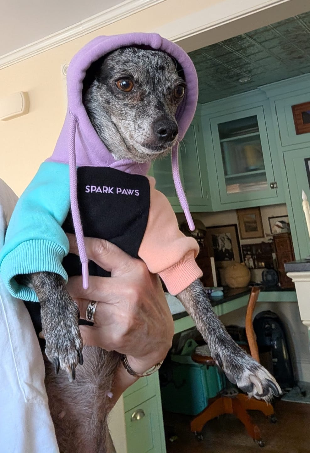 Customer photo review of Cyber Punk Dog Hoodie