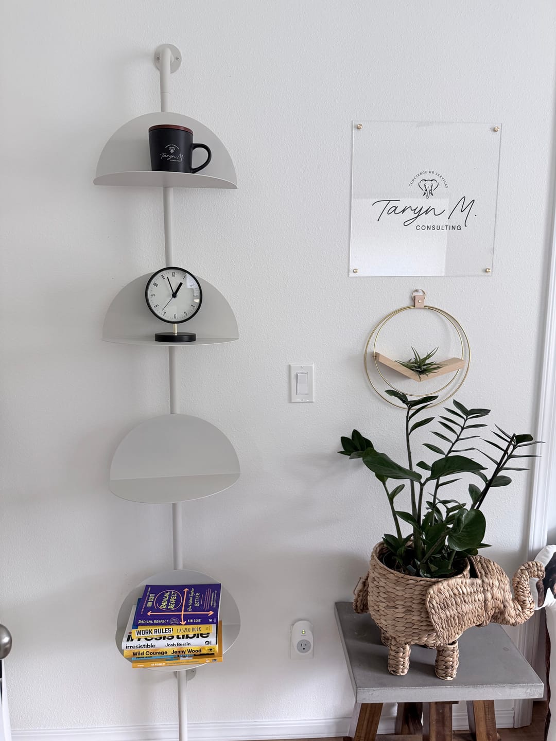 Customer photo review of Air Plant V-Hanger