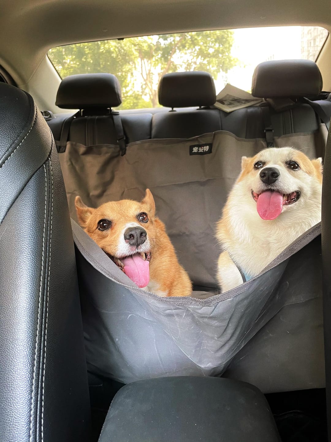 Customer photo review of Dogo Waterproof Car Pet Seat Cover Custom Hand Stitched