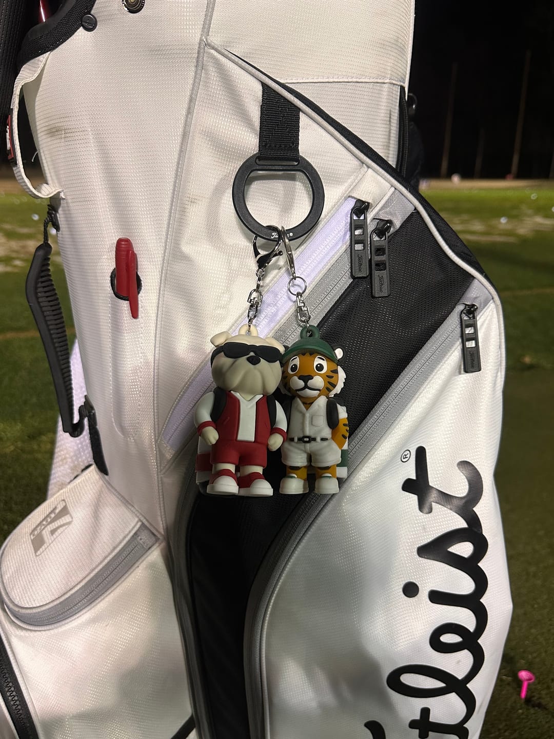 Customer photo review of Bulldog Caddy