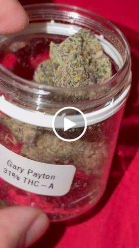 Customer video review of Gary Payton 31% THCA