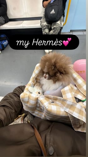 Customer photo review of Se hai richiesto il ricamo questo è il suo costo (NON RIMUOVERE)