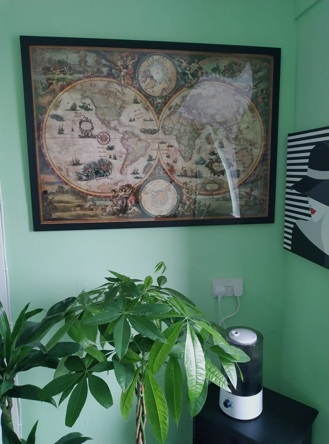 Customer photo review of Large Vintage Style Modern World Map by Ray&Co, 2024