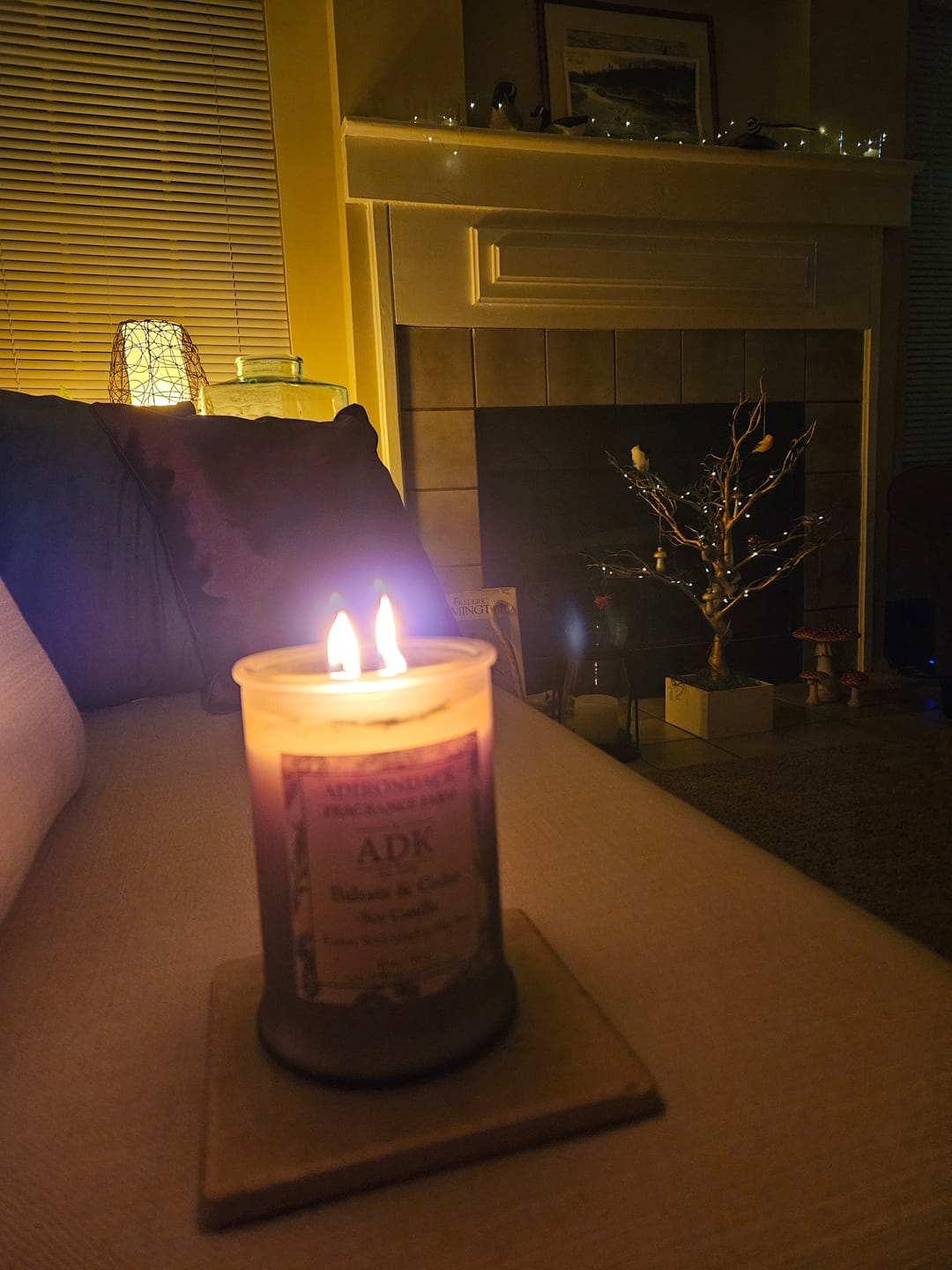 Customer photo review of Balsam & Cedar Candle
