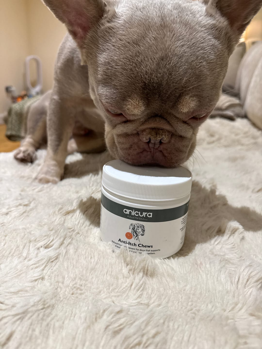 Customer photo review of Anti-Itch Dog Chews