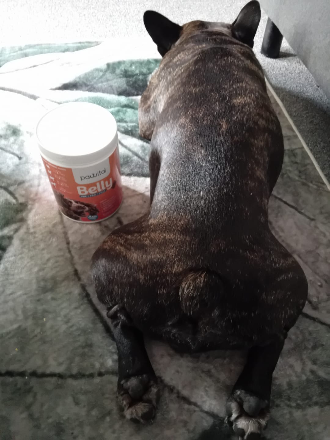 Customer photo review of Belly Biotics (jar) €24,90