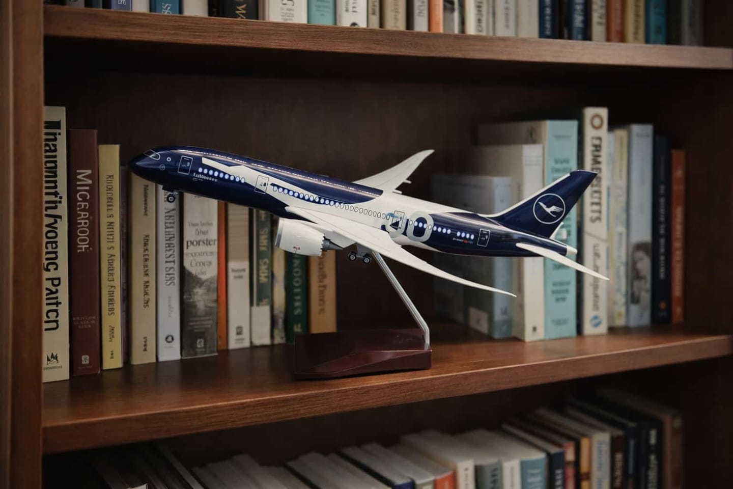 Customer photo review of Boeing 787-9 Commercial Aircraft Model Series （1:130）