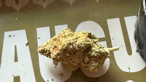 Close-up: Reviewer's large, frosty Sour Diesel nug resting on a tray.