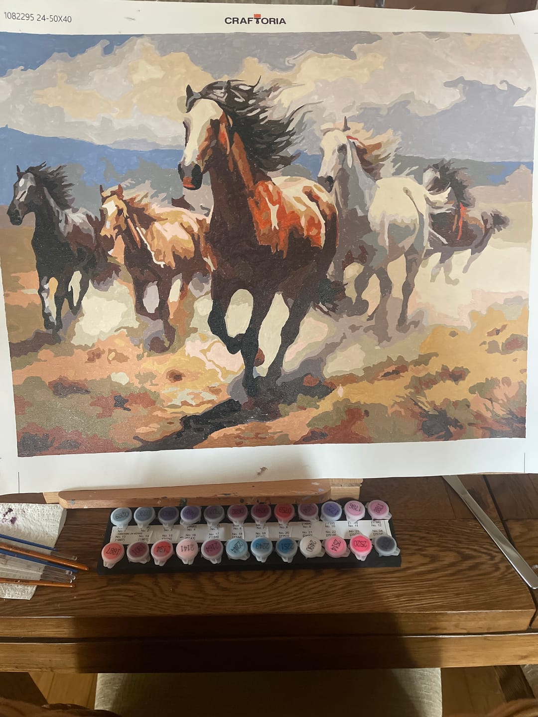 Customer photo review of Desert Horse Gallop