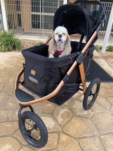 Customer photo review of Sports Large Pet Stroller